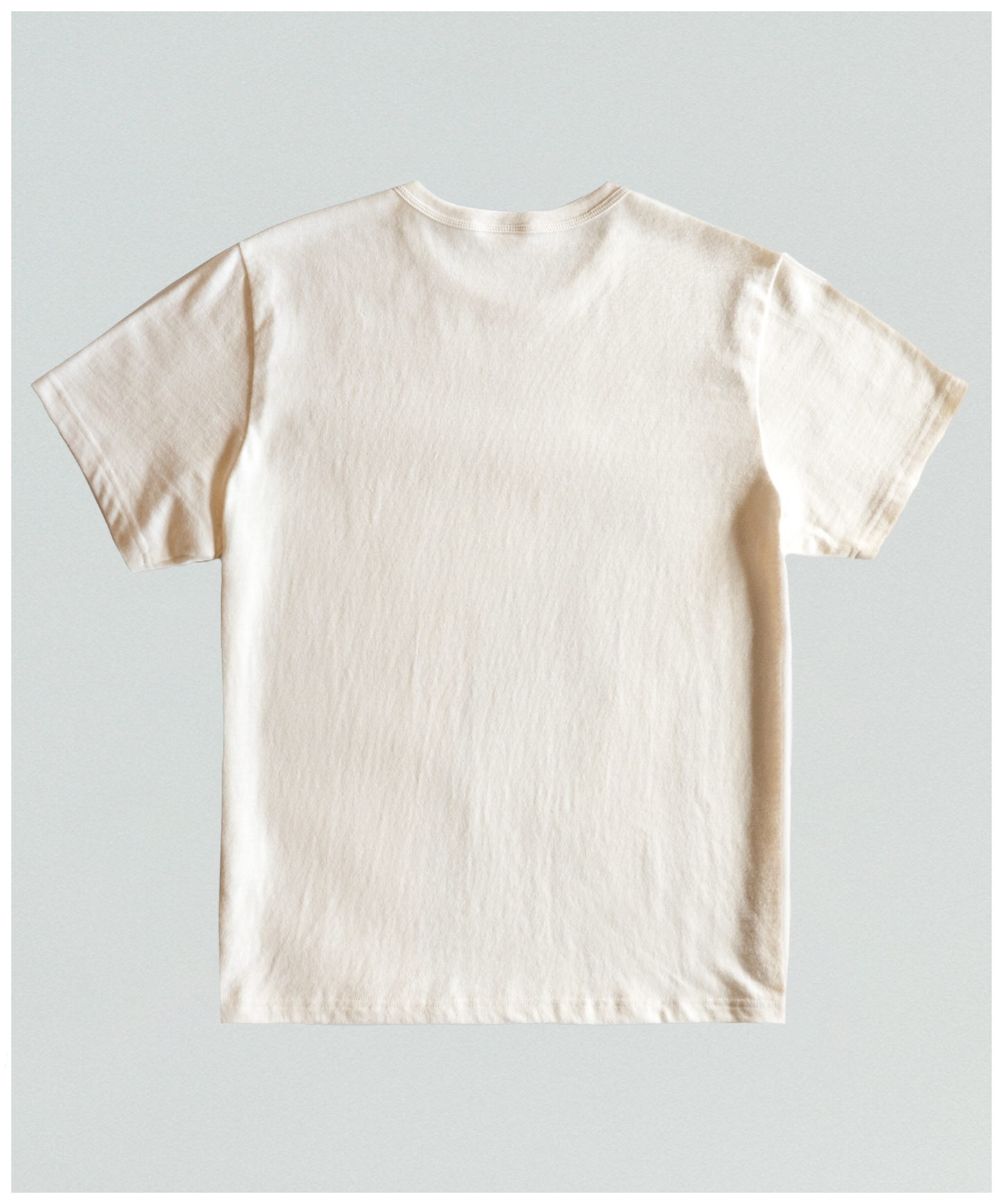 FNT 096 Undershirt Classic (x2 pack Natural)